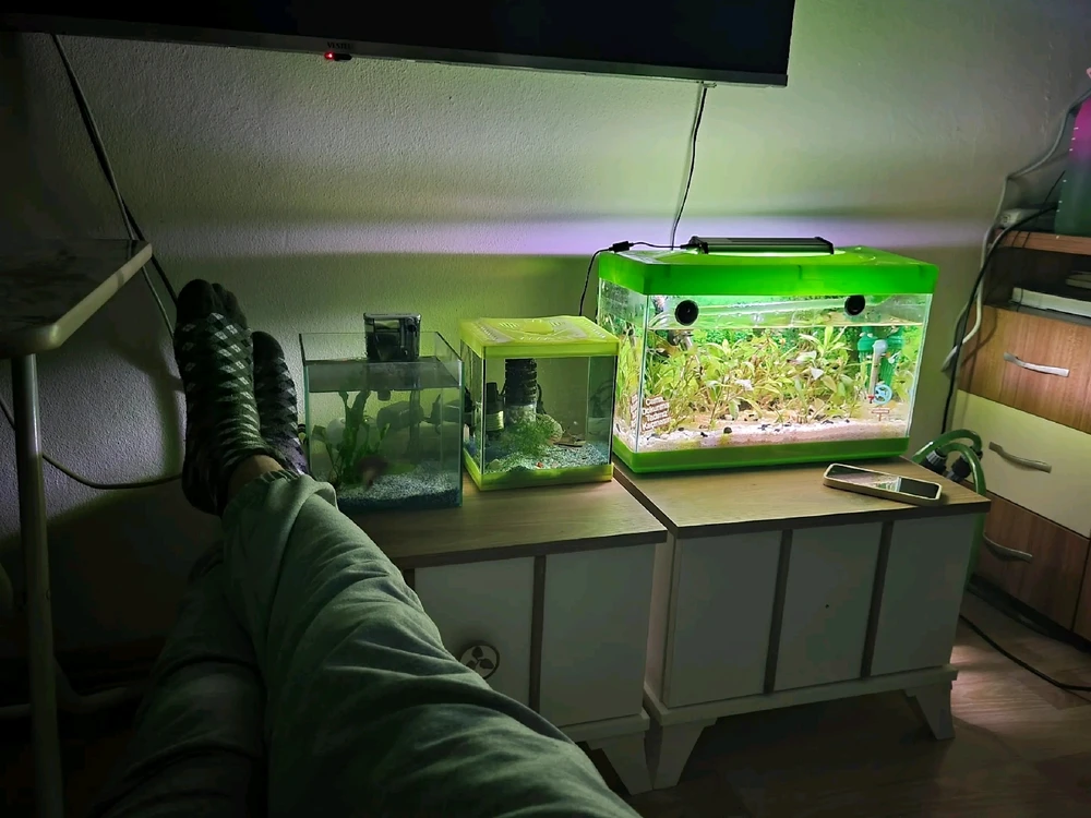 Burak tarafından yüklenen GIF