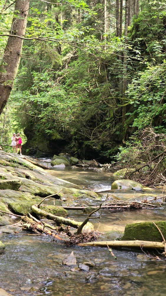 GIF uploaded by Akki