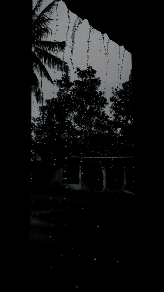 GIF uploaded by Mia...💗🐼