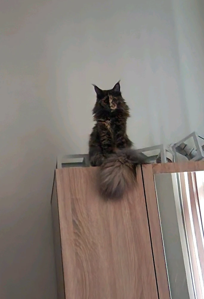 GIF uploaded by Maki