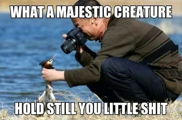 GIF hochgeladen von Roman