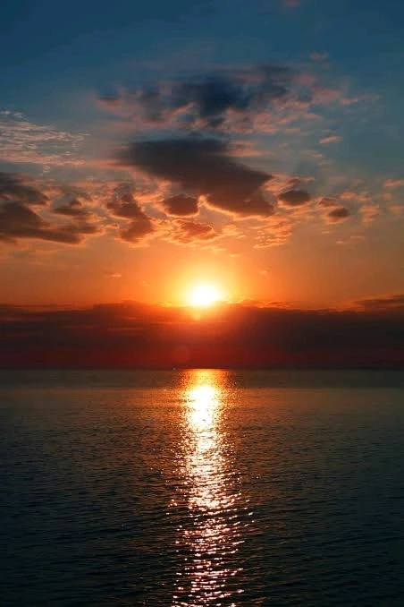 GIF uploaded by PunkBrew
