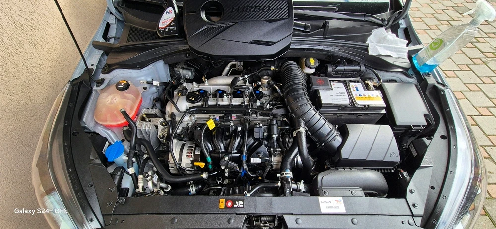 Imagine încărcată de GFN