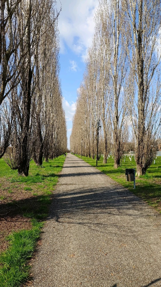 GIF caricata da Fabio