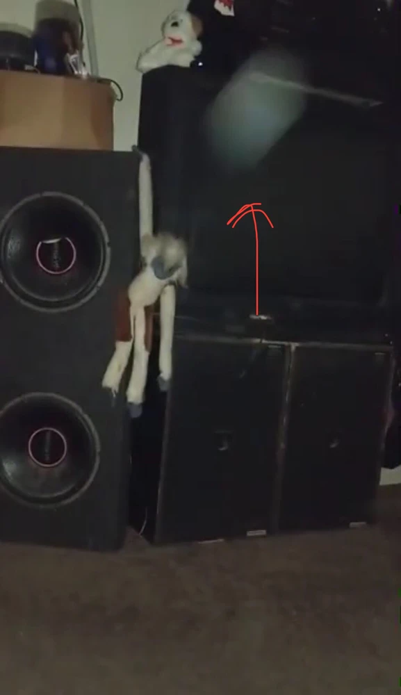 Ever B上傳的圖片