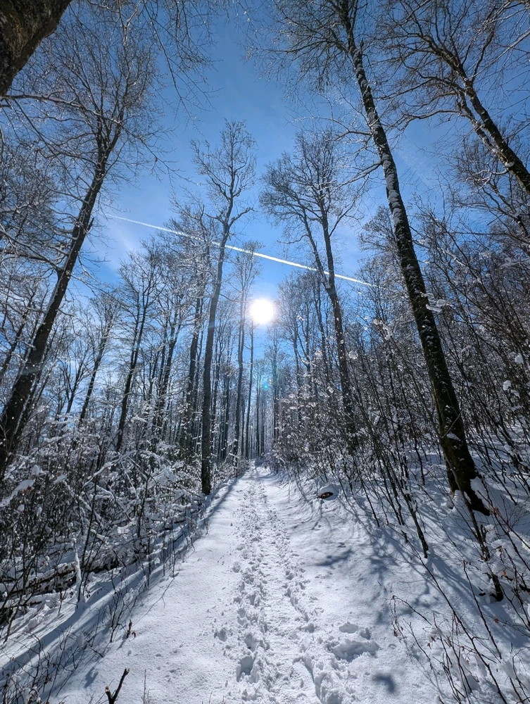 Image ajoutée par Sébastien