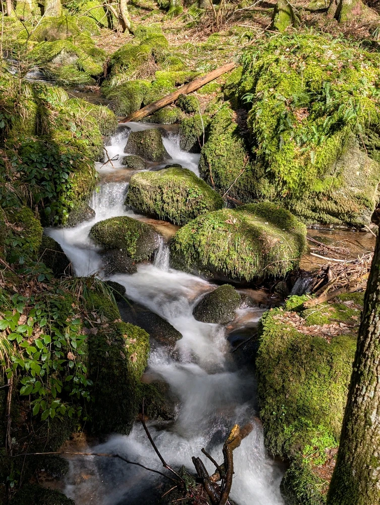 Image ajoutée par Sébastien