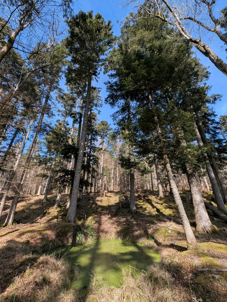 Image ajoutée par Sébastien