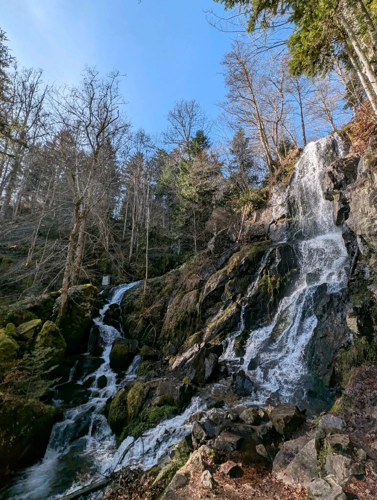 Image ajoutée par Sébastien