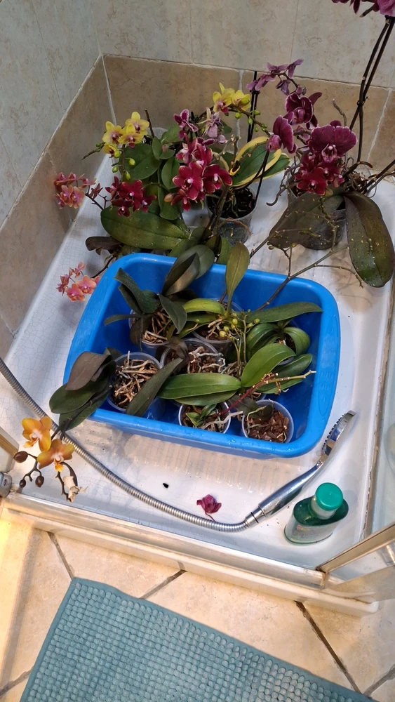 GIF caricata da Simone