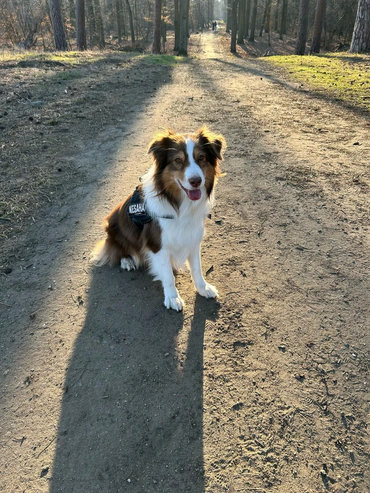 Obrázek nahrál Svatava