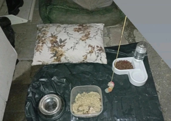 esmerhatun tarafından yüklenen GIF