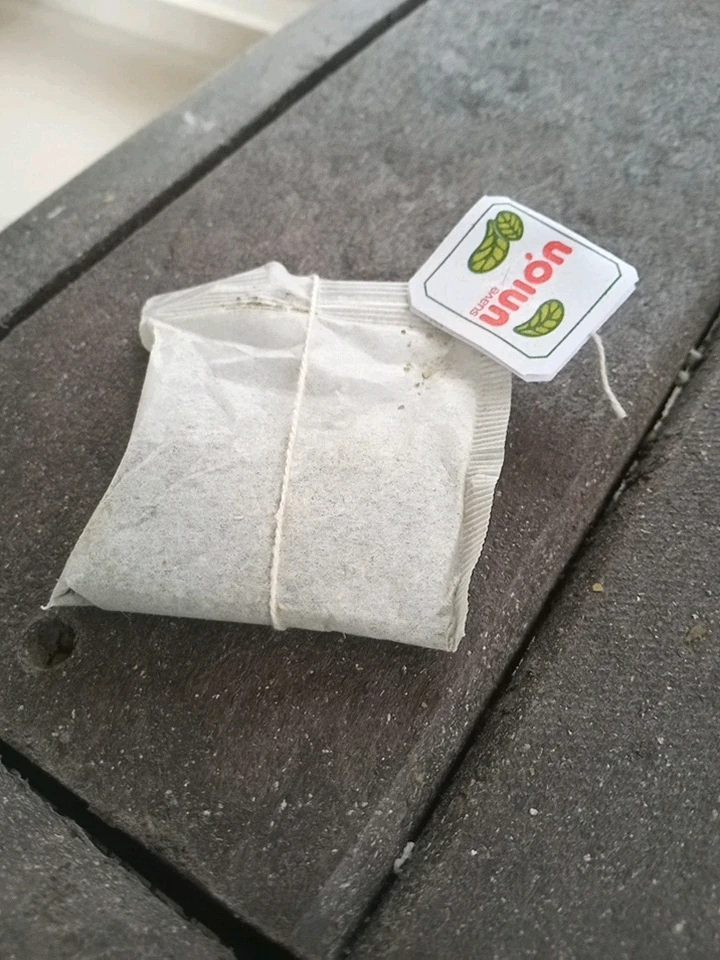 GIF subido por Miguel