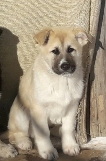 GIF uploaded by Raven