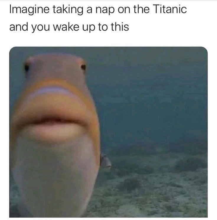 GIF lastet opp av Anders