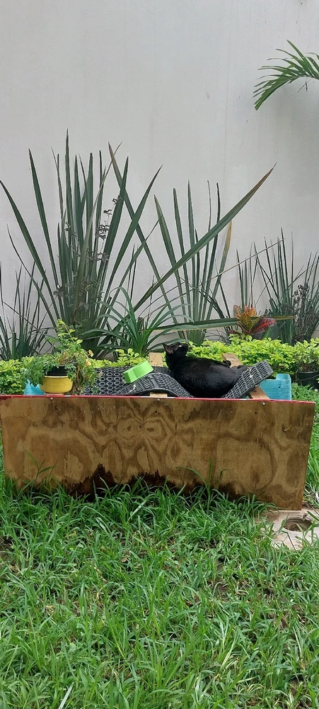 GIF subido por Daniel