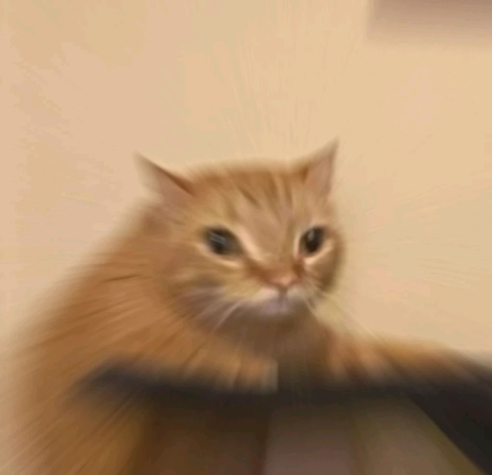 GIF uploaded by Blub blub