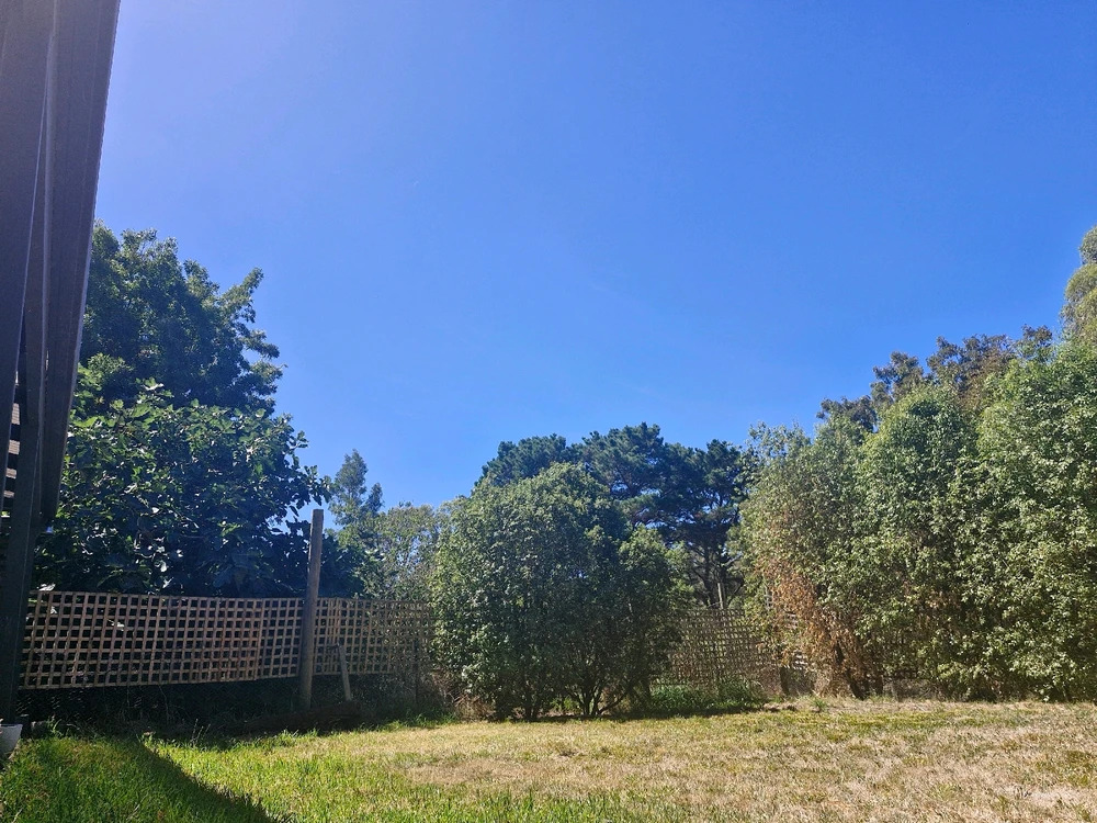 Image uploaded by Leah