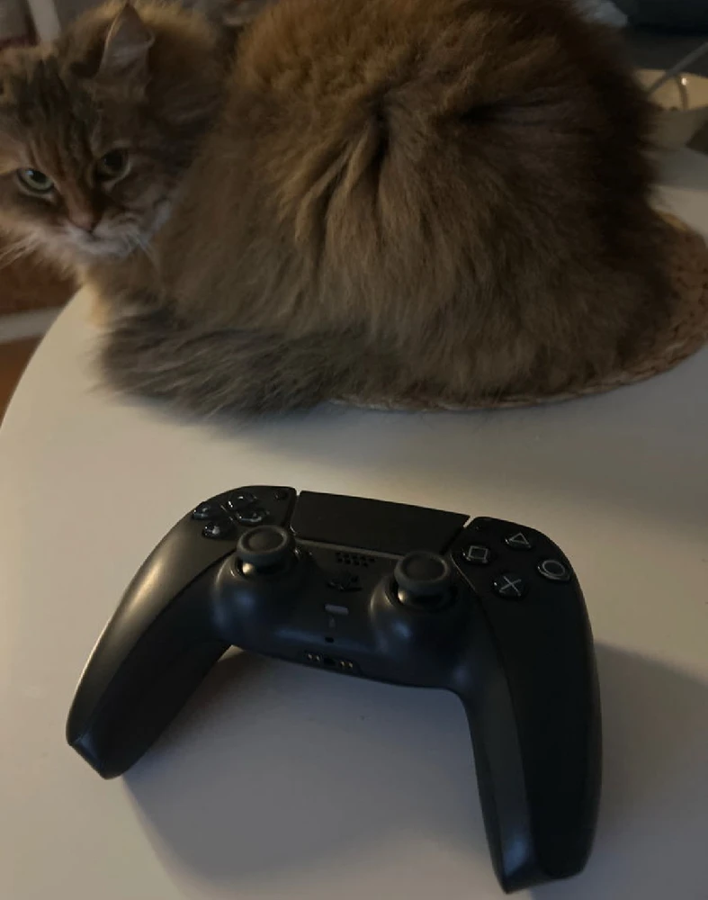 GIF hochgeladen von Edgar