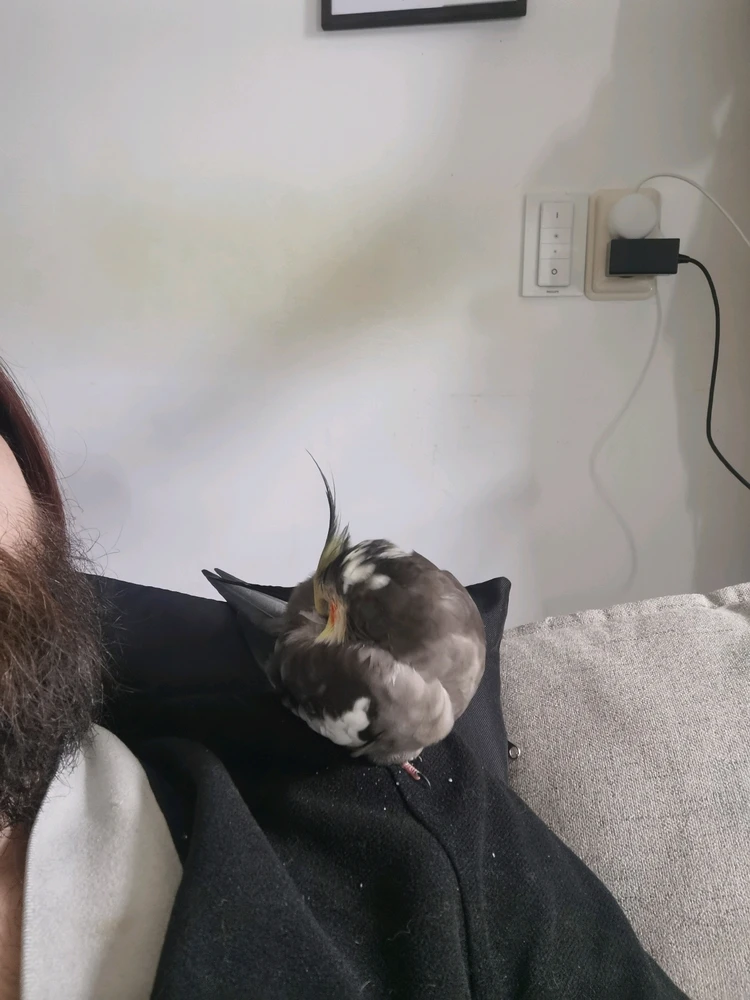 GIF geüpload door Glenn