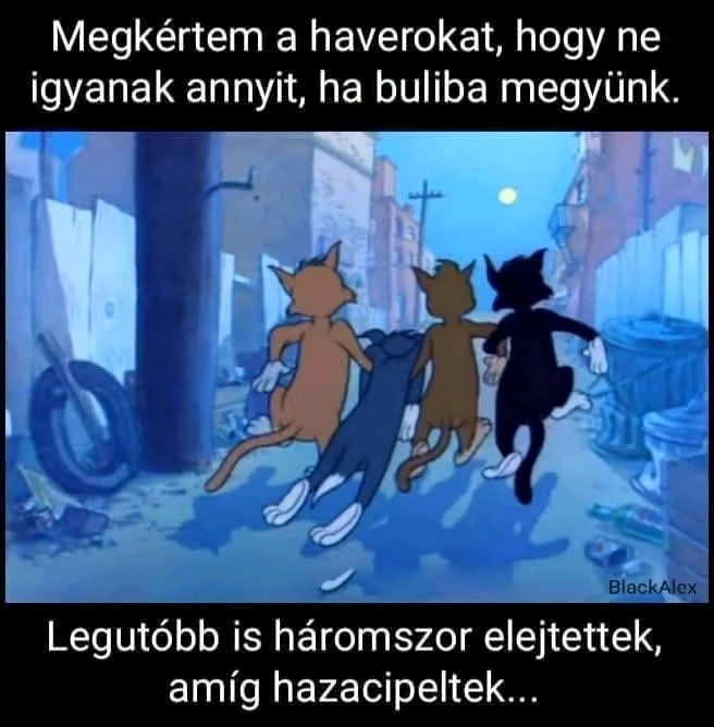 vanazúgy által feltöltött GIF