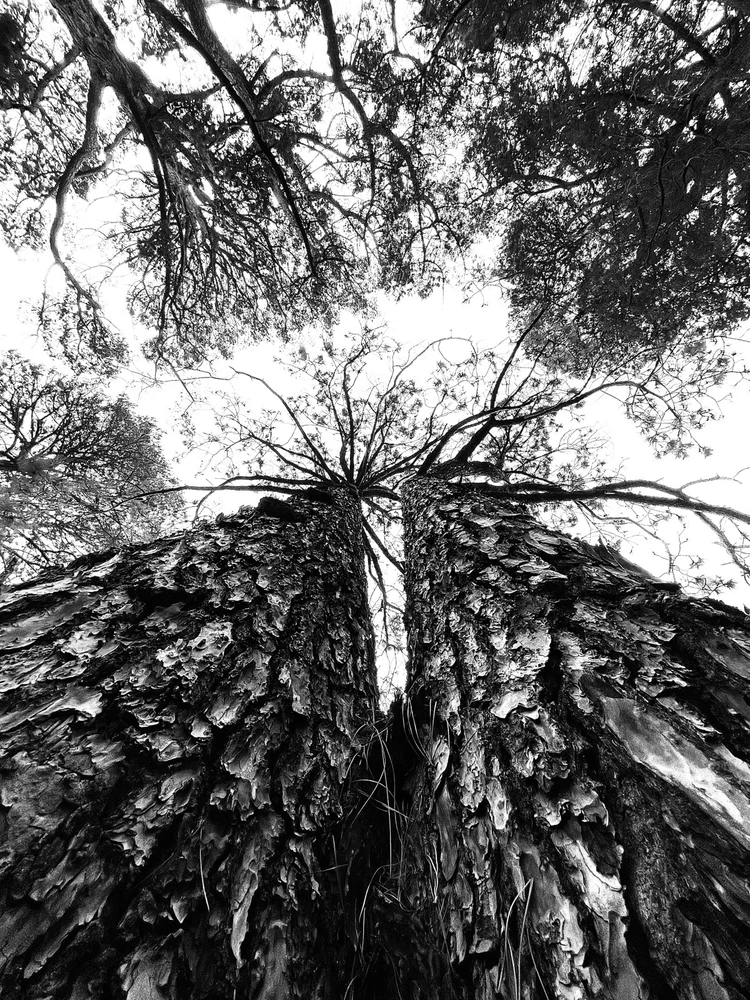 Image uploaded by Jamie