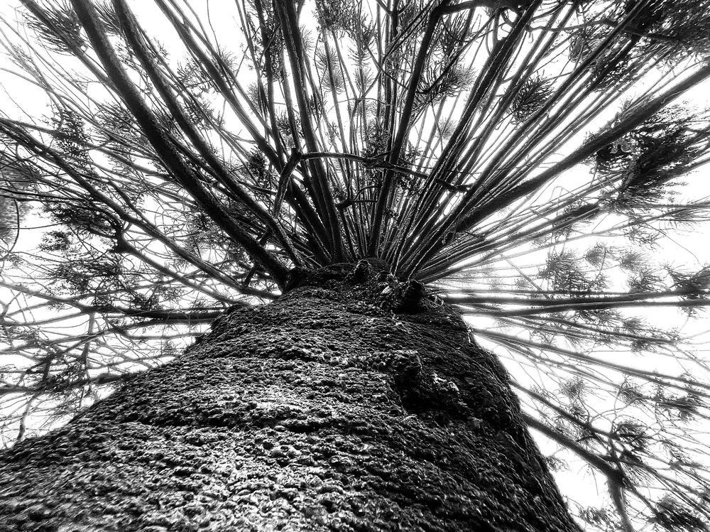 Image uploaded by Jamie