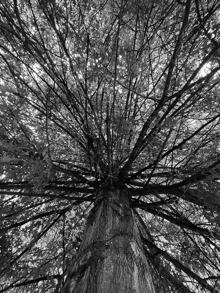 Image uploaded by Jamie