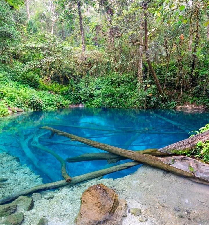 GIF diunggah oleh Sinta Akemi