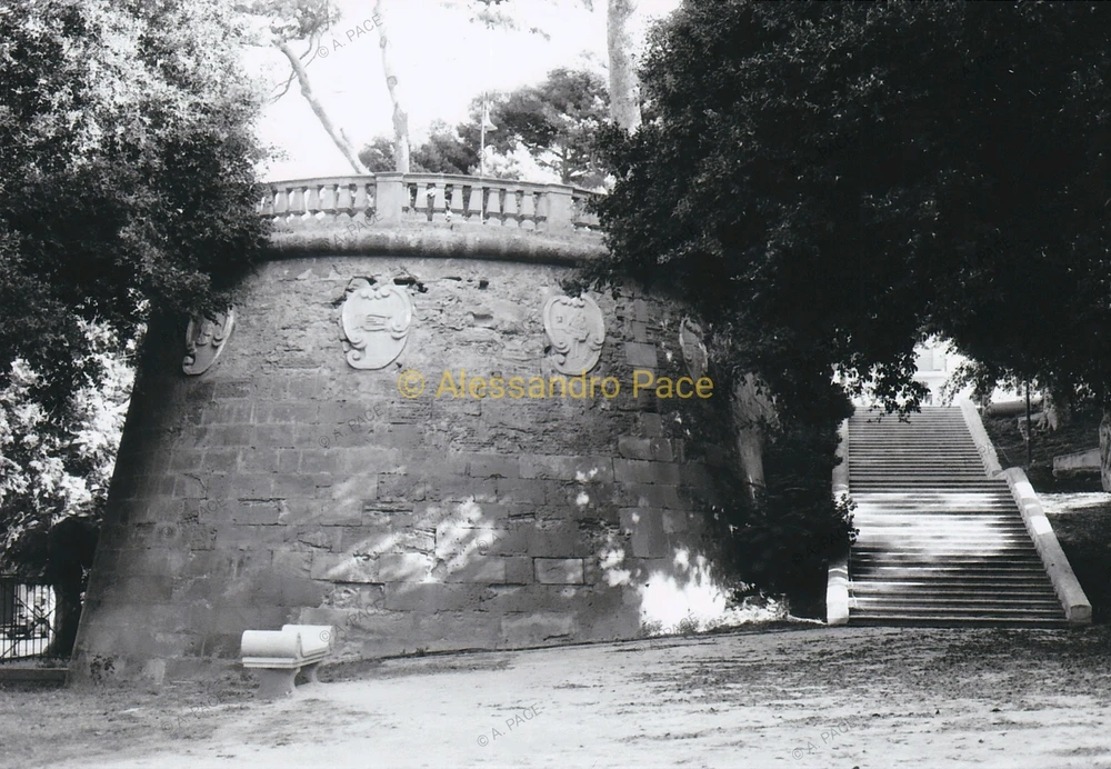 Immagine caricata da Alessandro | alpacigno