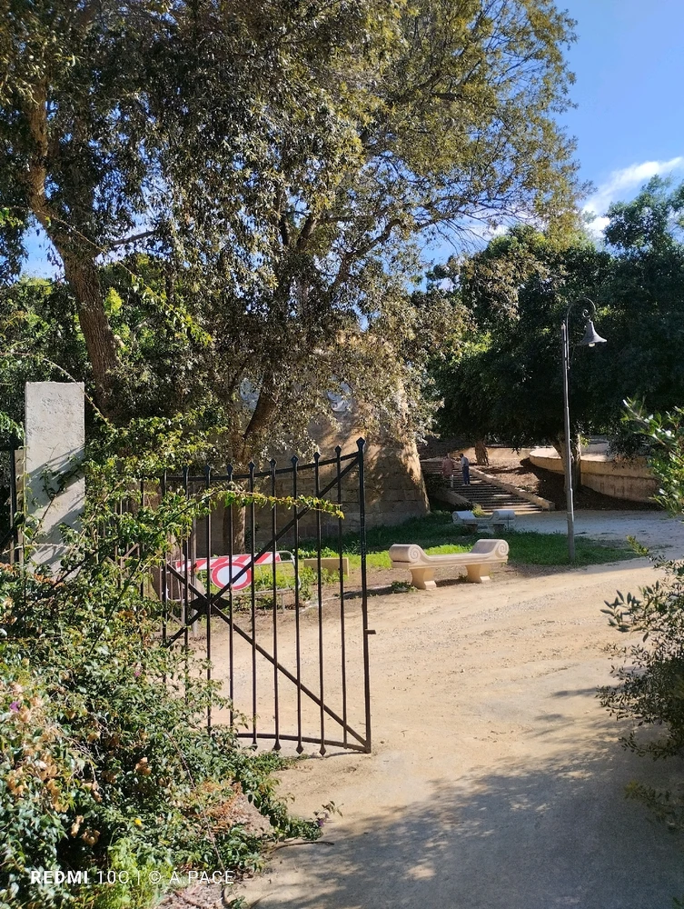 Immagine caricata da Alessandro | alpacigno