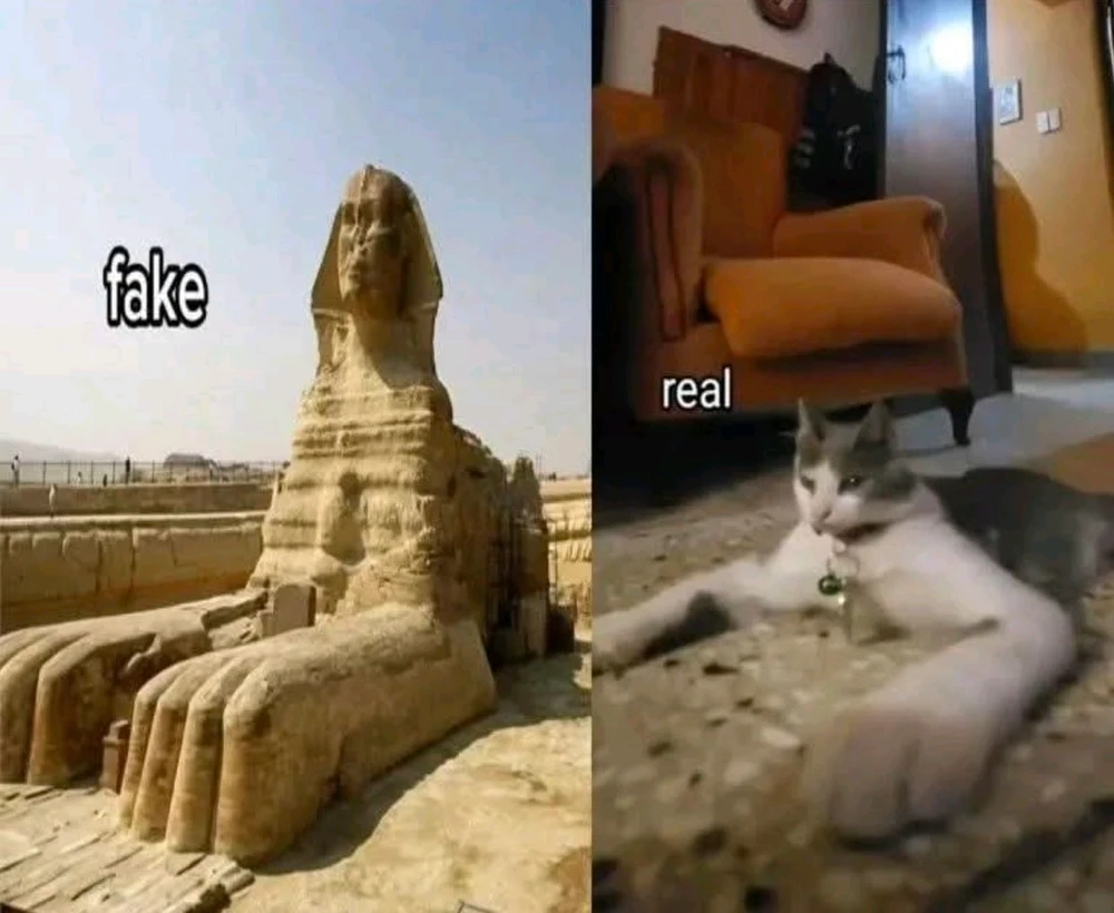 GIF загрузил Елизавета