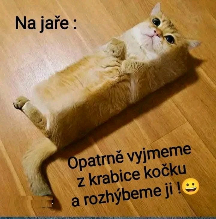 GIF nahrál Tomáš (Chlupčis)