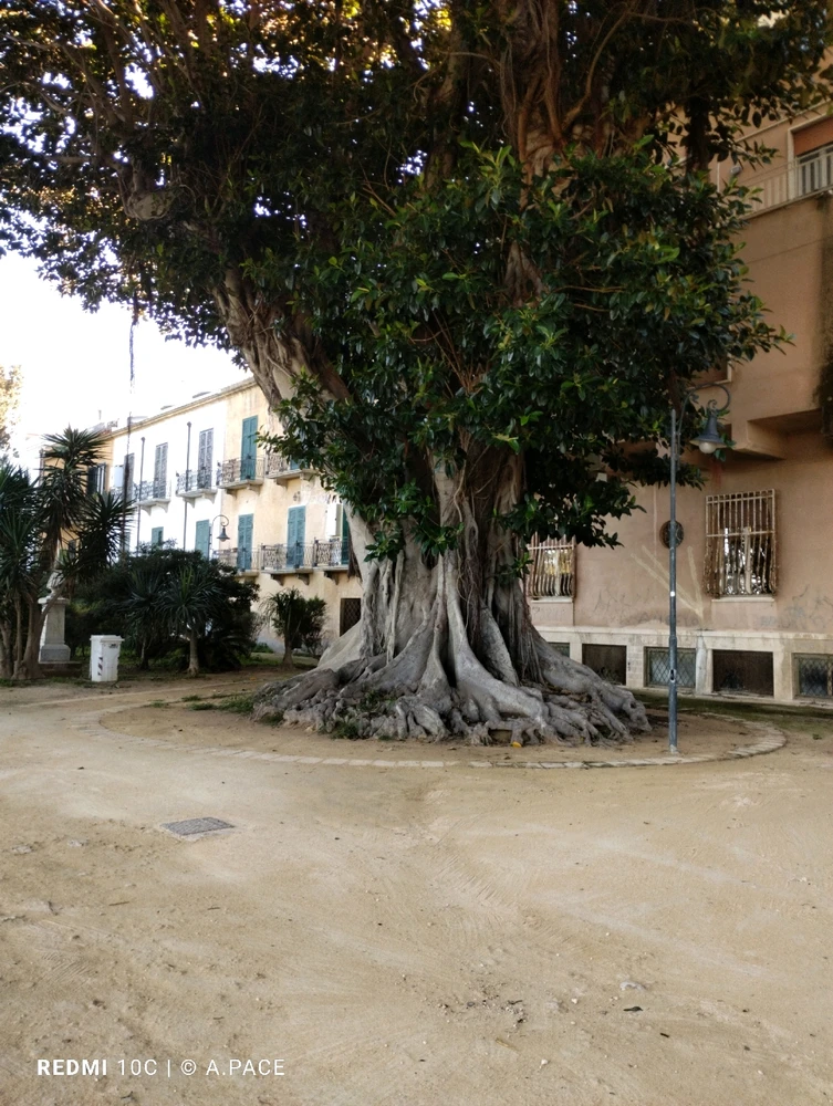 Immagine caricata da Alessandro | alpacigno