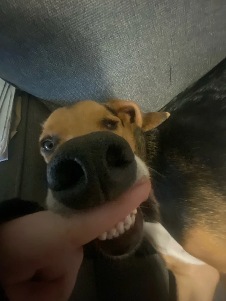 GIF uploaded by Sage