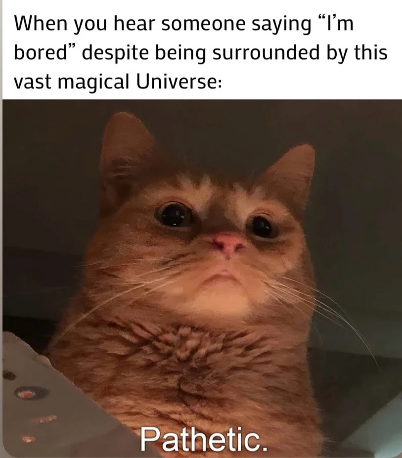 GIF uploaded by Ⓜ️🅰️®️k