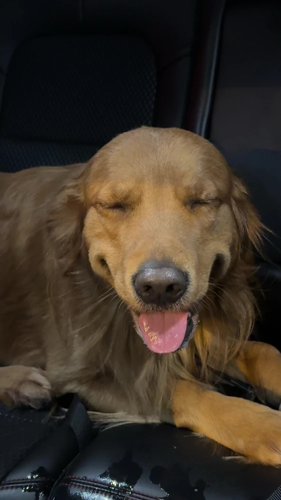 Gambar diunggah oleh Kaycie