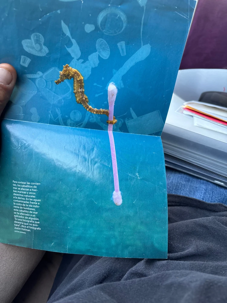 Image uploaded by Keven