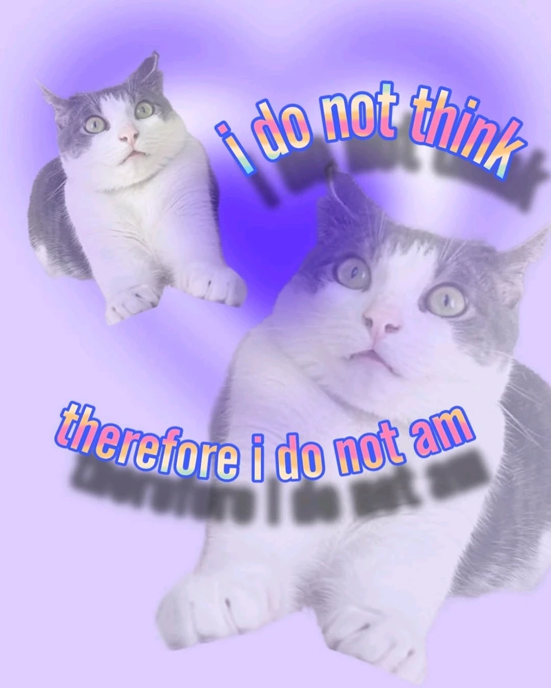 Image uploaded by Roque