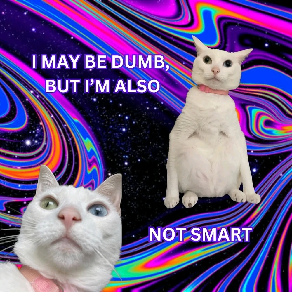 Image uploaded by Roque