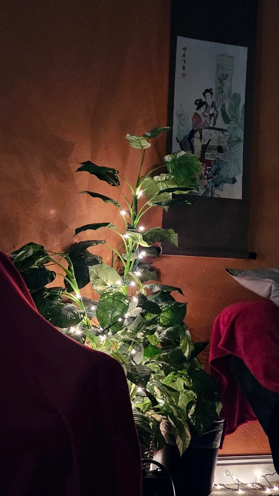 Image uploaded by Damaris