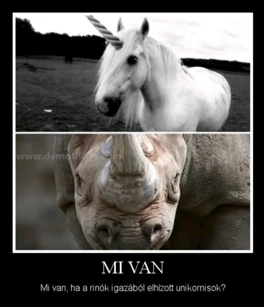 vanazúgy által feltöltött GIF