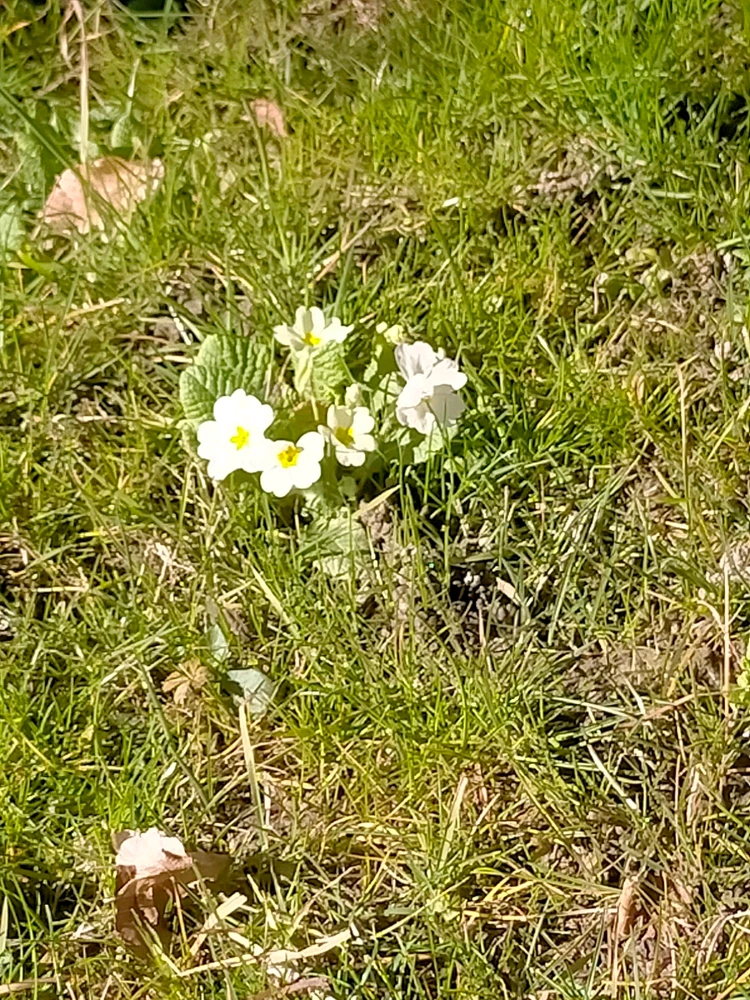 GIF caricata da Riccardo