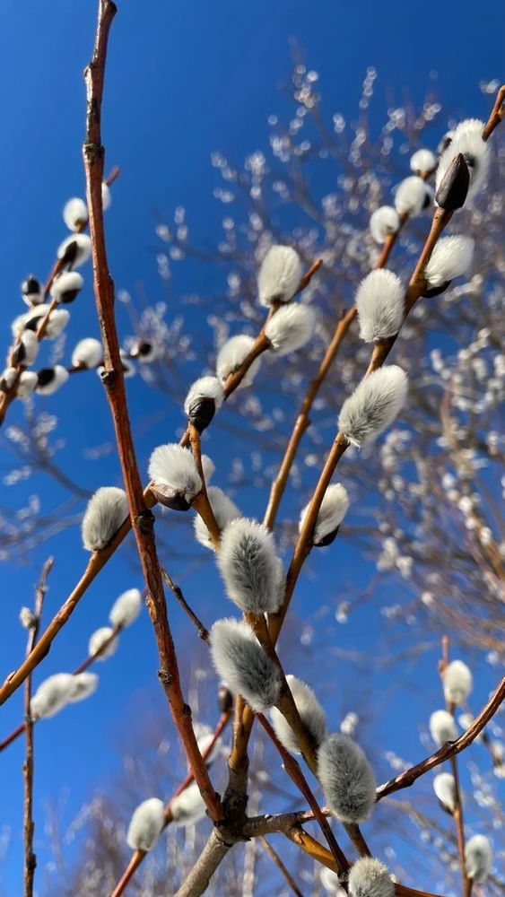 GIF uploaded by Creer