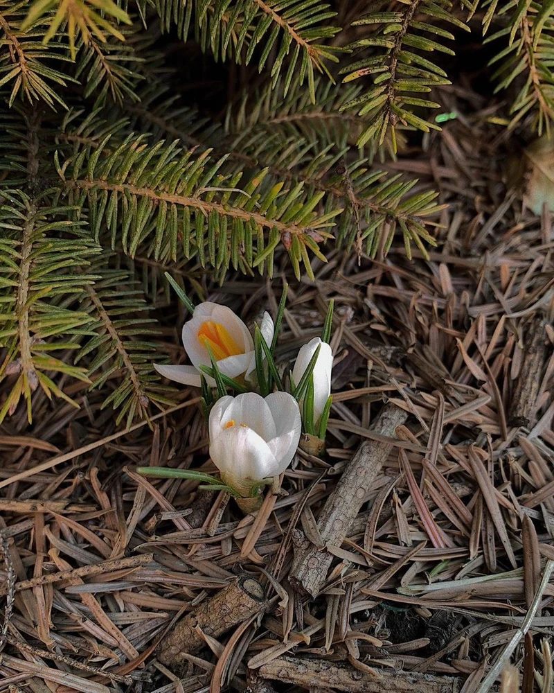 GIF uploaded by Creer