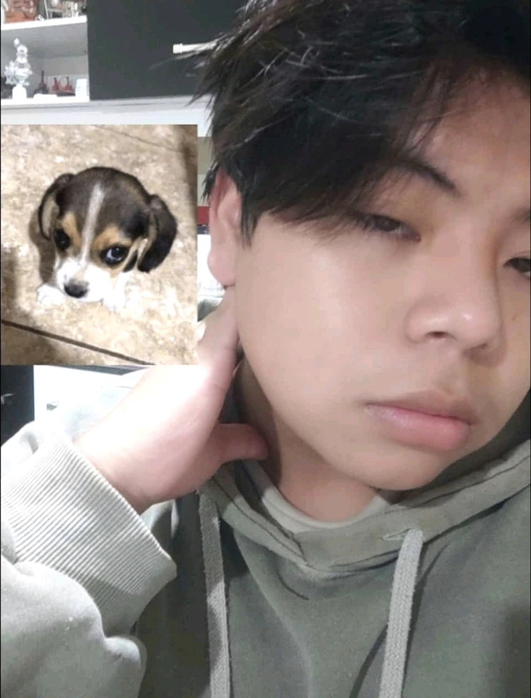 GIF subido por Rodrigo