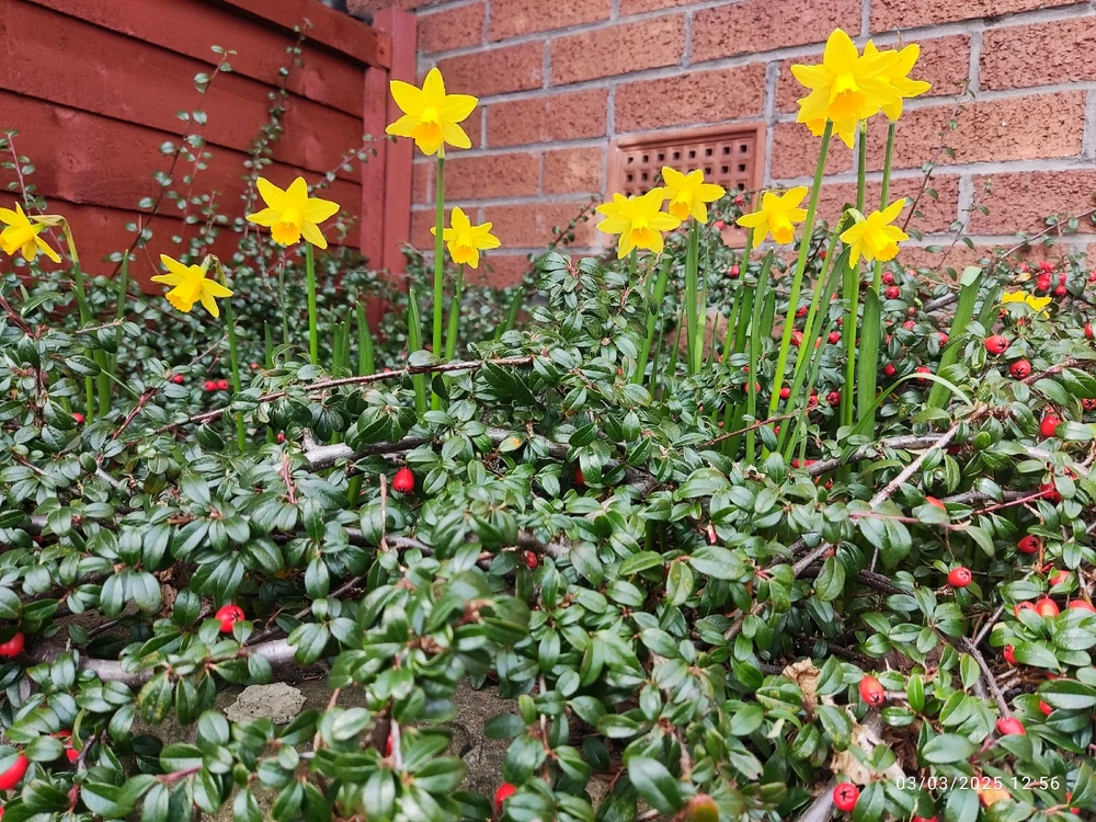 GIF uploaded by Grace