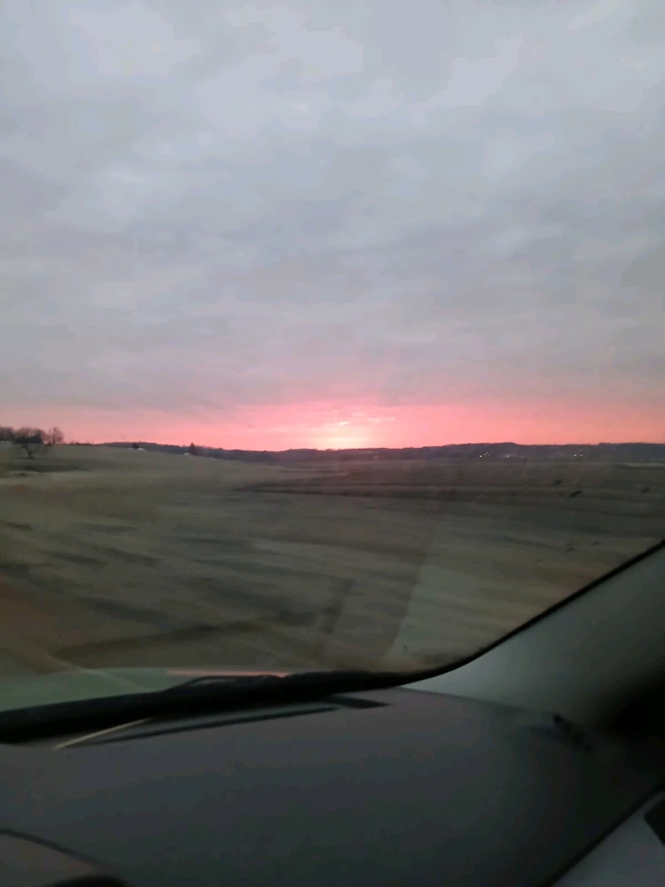 Image uploaded by Kea