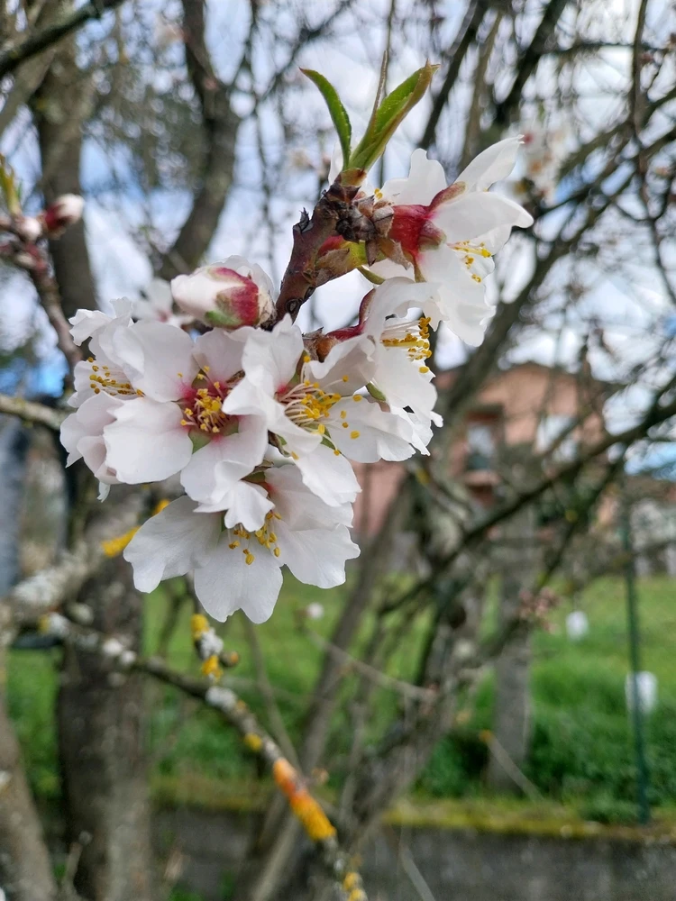 GIF enviado por Paulo