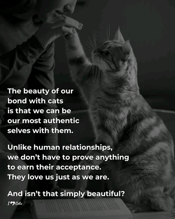 GIF uploaded by ๐J๐o๐e๐y๐